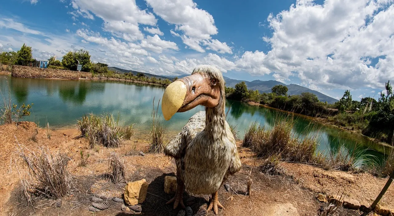 Dinosaur Park Experience Travel Guides